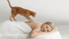 0EC657AE-2A8C-4D5B-BBA9-85CC46D9FB4D.gif