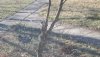20210304_090745_copy_2016x1134.jpg