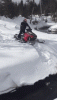 AdorableGorgeousArgentinehornedfrog-max-1mb.gif