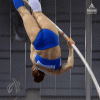 pole.gif