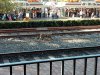 IMG_20171025_094908602.jpg