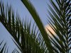moon_1330598.jpg