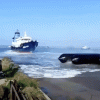 32e50de60bb54a77dfaf515fc5e0fd29.gif
