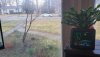 20210311_080927_copy_2016x1134_1.jpg