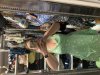 A2CC7EF6-A933-4D21-89C4-2244C3A59932.jpeg