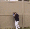 giphy-downsized-medium.gif