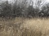 C57E0139-AE4A-4183-86CC-E7A799304AB4.jpeg