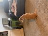7958FBCA-B7DA-4D92-996F-6B20177416C4.jpeg
