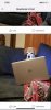 B9FD7F45-AC72-4460-AC70-D72F6779CD64.jpeg