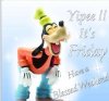 a73053f428e8a43d95d4b7c393f7cbec--weekend-greetings-finally-friday.jpg