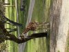 704010E9-BC8E-4C99-8F3F-749789D350B4.jpeg