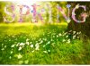6E00B08C-5309-4178-9AE3-14CED3CB7C2C.jpeg