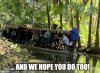jungle cruise in real life.jpg