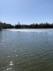 IMG_8120.jpeg