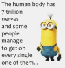 566042