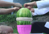 a425dae0107e202ae496b4ac0c97ab64.gif