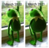 566161