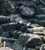 76A34959-6C96-4AC1-B88D-01DA753DEC85.jpeg