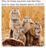 567208