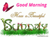 989F8477-5F88-4246-9A2A-8174C4648C4A.gif