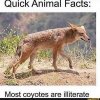 06b3e32ee36abf9a616cd382a977edd84d955f273f46c549120b3064b1bb0ef5_1.jpg.jpg