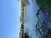 Conch view right.jpeg