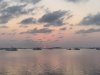 F5E30C7A-DF51-4ABB-ABF2-32C9C2D09595.jpeg