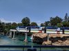 MVIMG_20190517_132703.jpg
