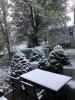 C3767837-D931-442D-8BB9-AEEC99B8B6B1.jpeg