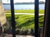 IMG_20210225_084730669.jpg