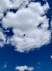 CF00CA9A-EF54-4E90-BADE-82AAED49838B.jpeg