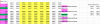 Screen Shot 2021-04-28 at 8.13.08 AM.png