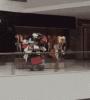 tenor-7.gif