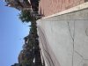IMG_5054.jpeg