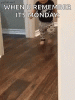 C123E5D8-7EAC-4272-9CF2-A0E2458451A9.gif