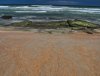 w_oaks_1350108a.jpg