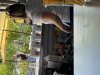 258DE60C-66C9-48B0-B007-278D58CE327E.jpeg