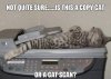 89C6EFA8-7C70-426A-A33A-BD949AA13C91.jpeg