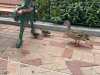 31158D68-3EB3-4C7C-8973-6BC0411D7C84.jpeg