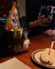 gizmo 5.jpg