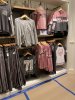 IMG_2300.jpeg