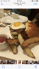 FF7BC6C3-9714-46A3-9E87-1D7C0A1B7FE2.png