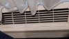 20210521_133910.jpg