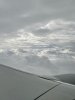 IMG_2912.jpeg