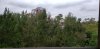20210530_074314.jpg