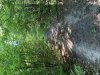 BA659226-CDCF-460F-AACB-48C429833E9F.jpeg