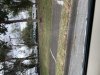 BC1023E2-5099-45FF-809D-4FC0BA9E13D3.jpeg