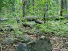 20210605_064931.jpg