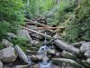 20210605_073245.jpg