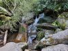 20210605_075628.jpg